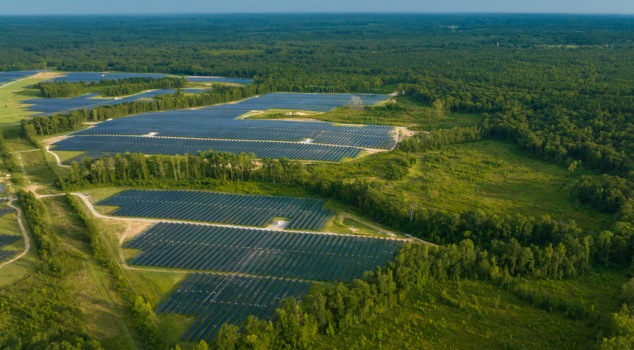 energy-pine-gate-renewables-solar