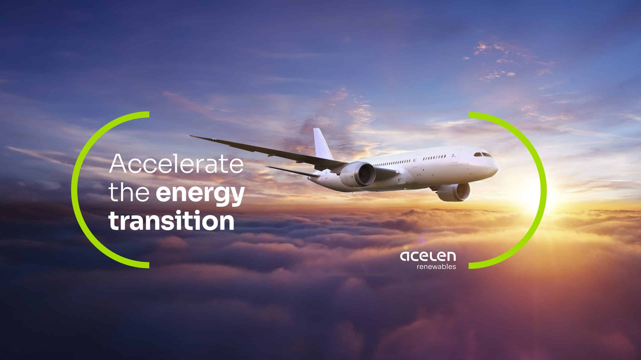 Native Brazilian Plant Quickens Energy Transition