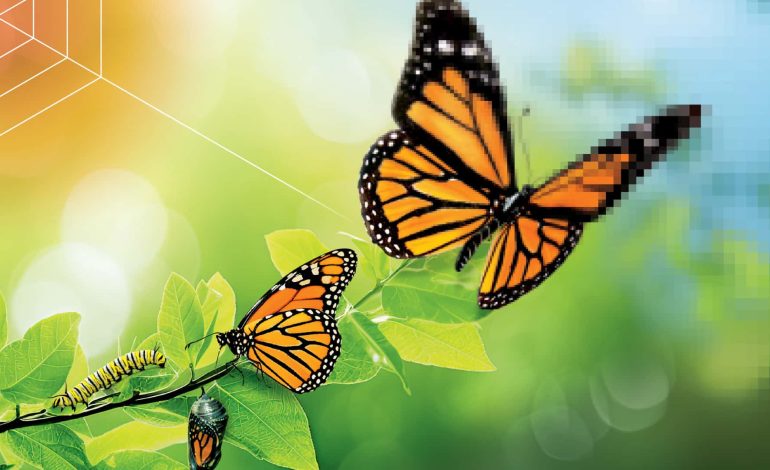 Harnessing the Power of Data for Better Patient Outcomes and Exciting New Collaborations