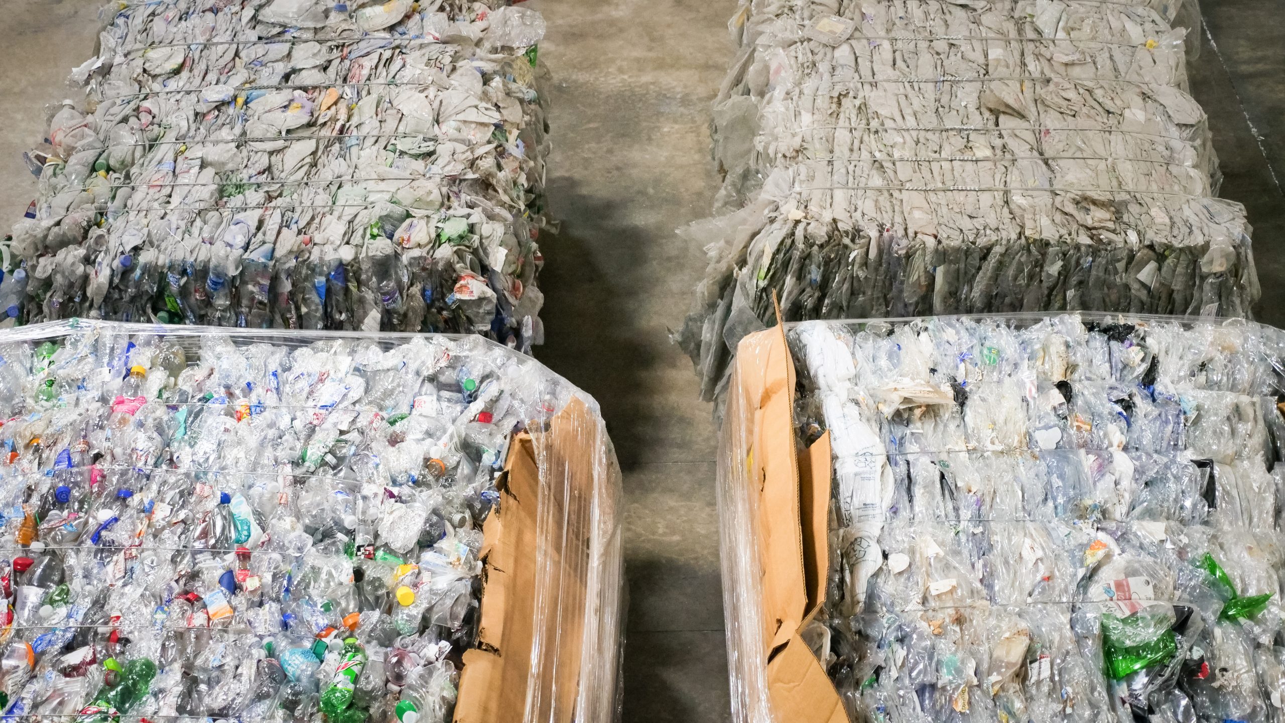 Who We Are: D6, the “Quiet Catalyst” of Sustainable Innovation