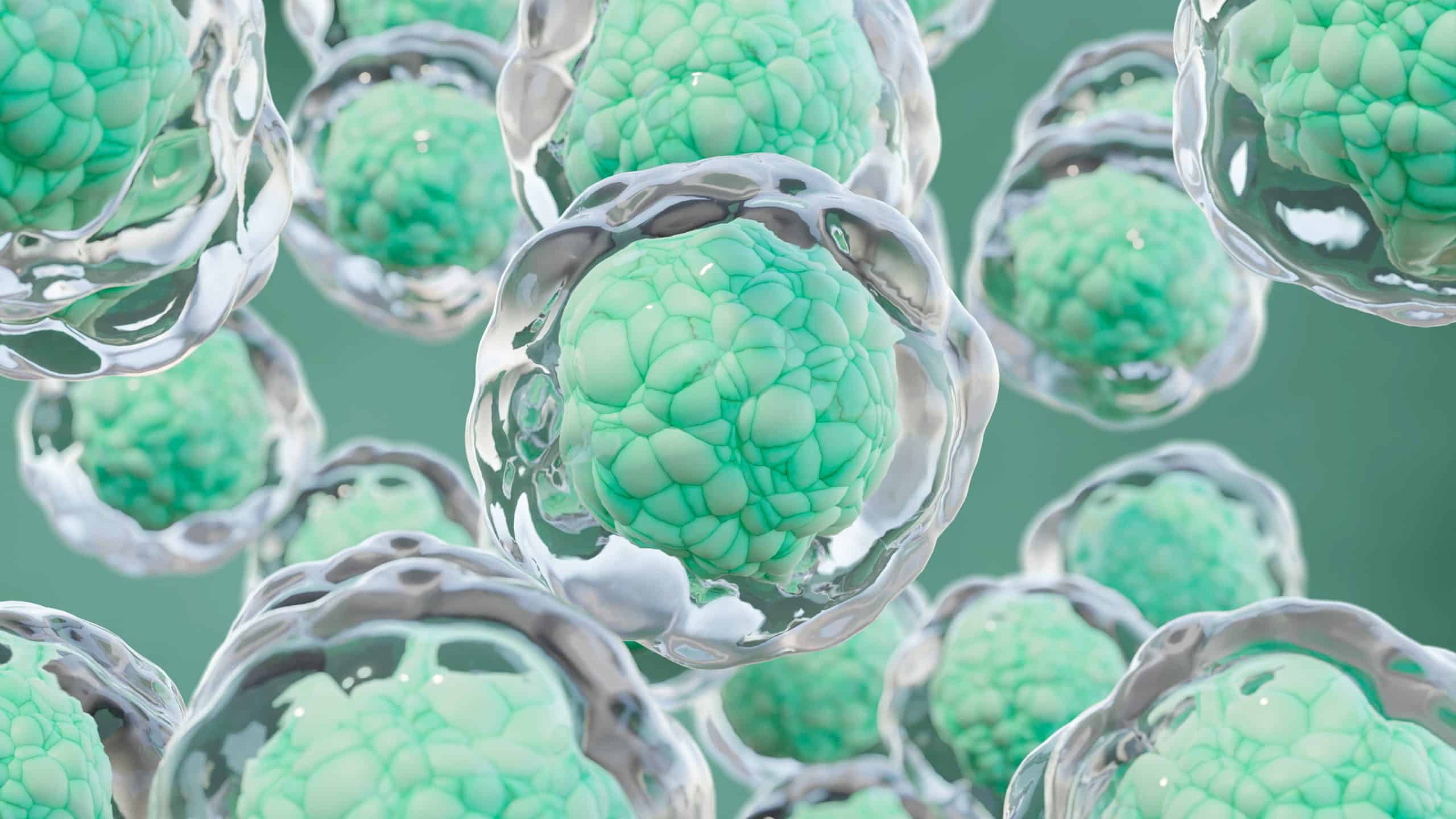 Turning Hope into Reality: Unlocking the Potential of Blood and Cells 