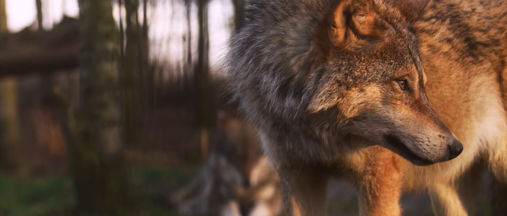 Making Extinction a Thing of the Past