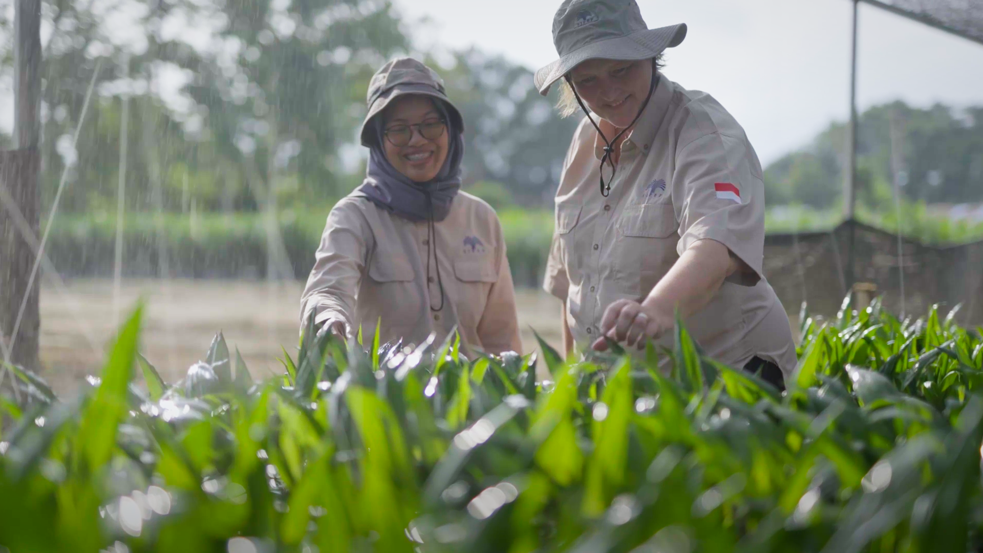 Beyond Certification