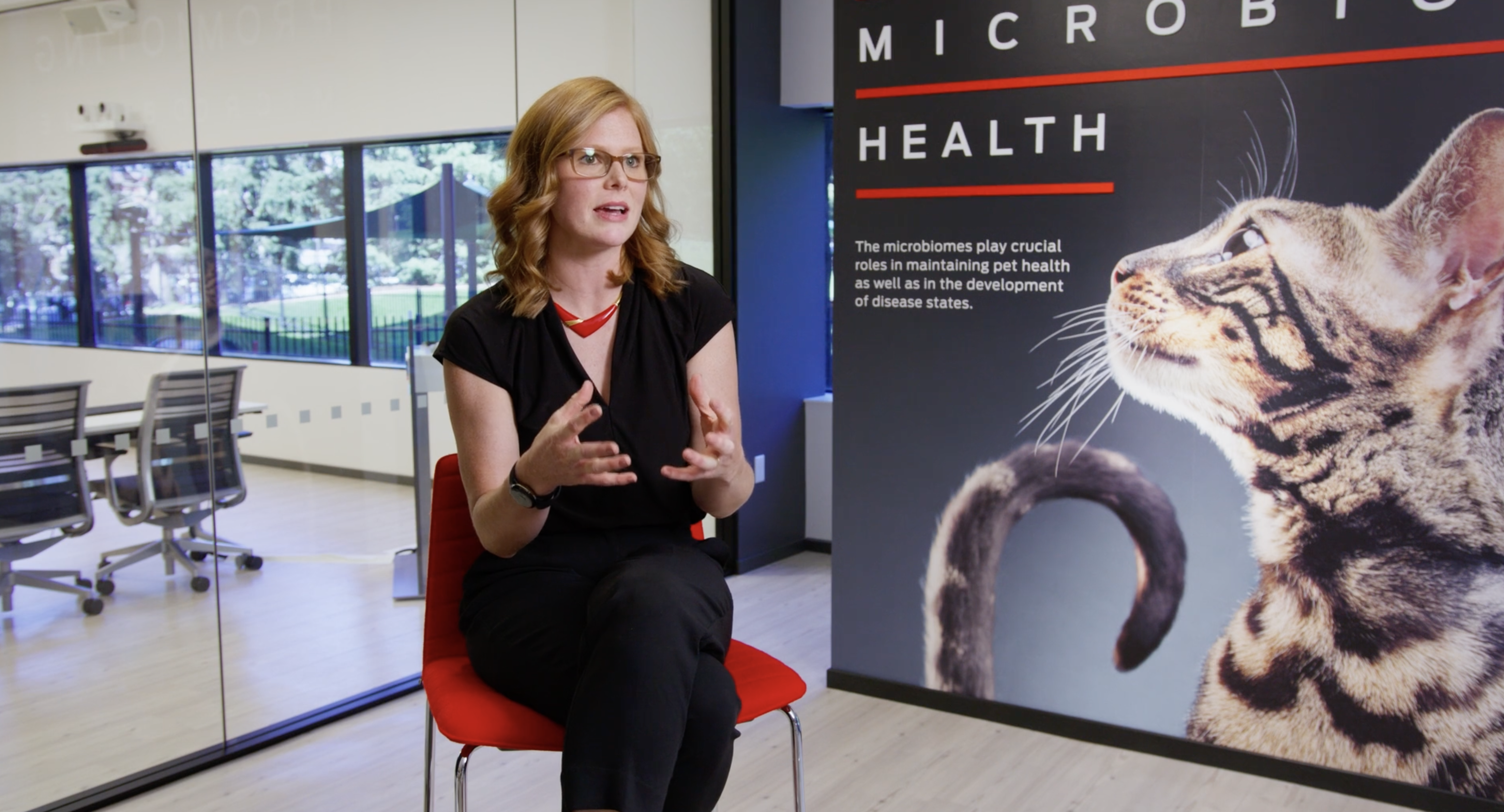 Giving Cats a Voice: How Purina Is Redefining Proactive Pet Care