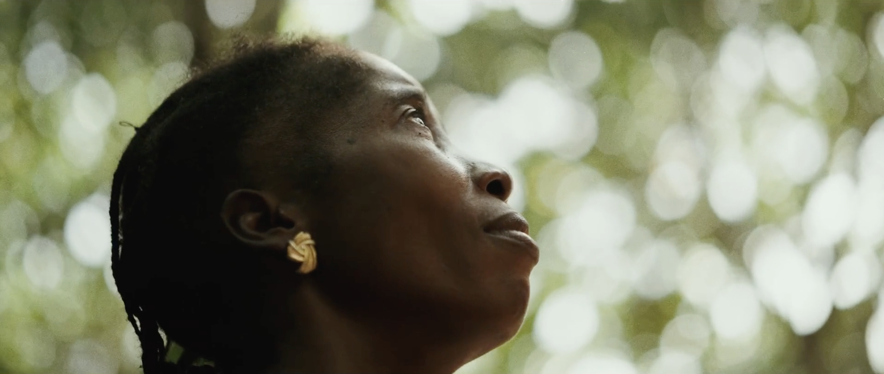 Strengthening resilience across cocoa-growing communities