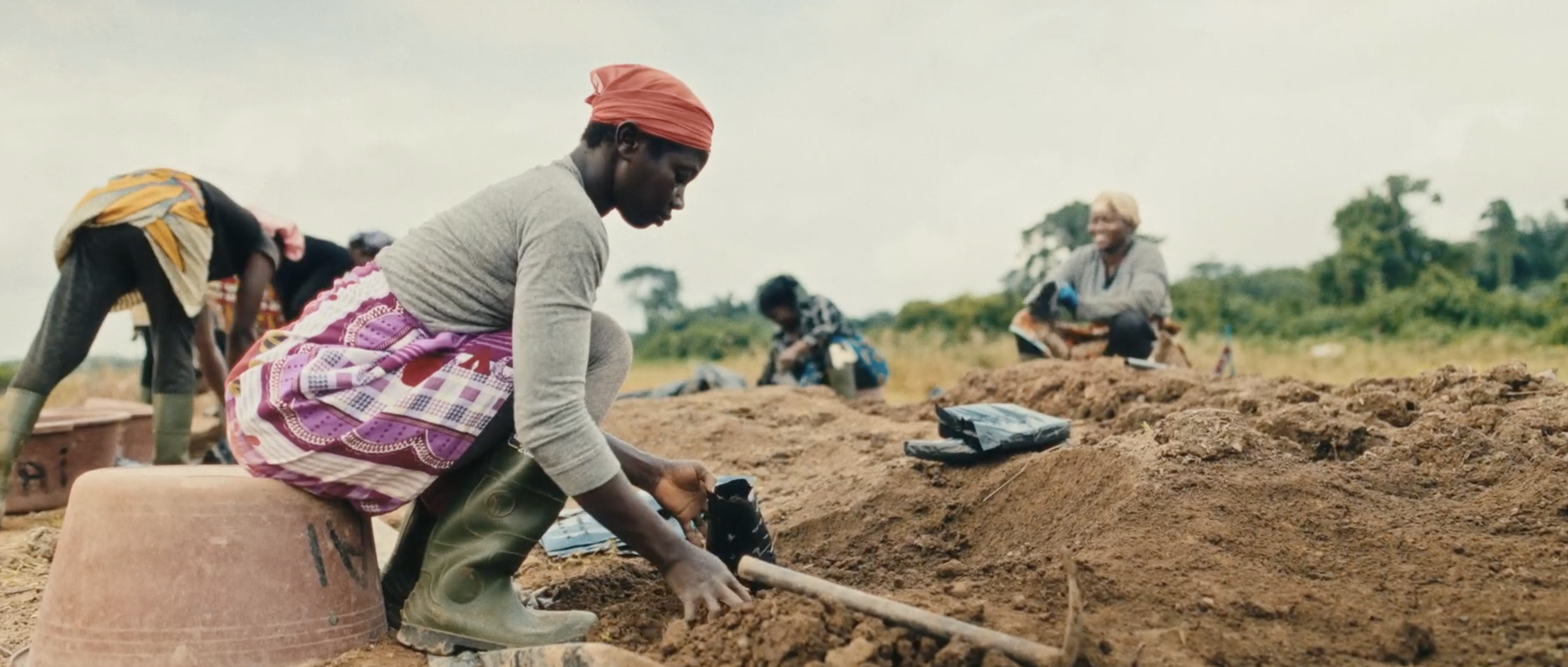Sustainable Tropical Agriculture Through Science and Innovation